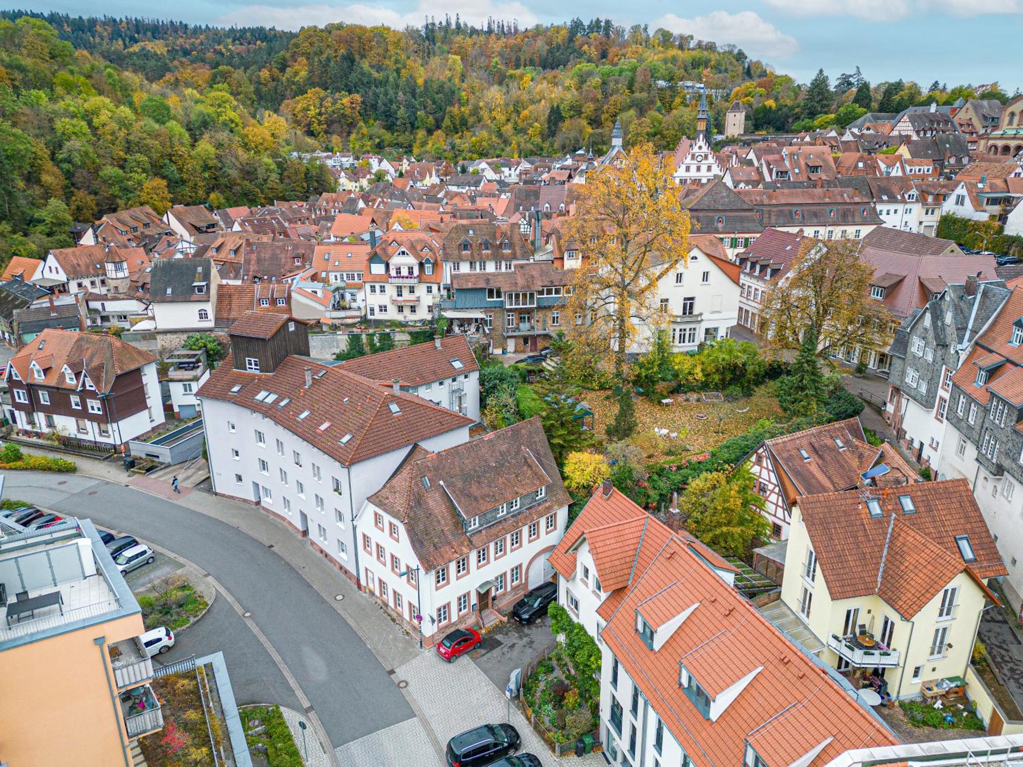 Lit Living Weinheim Altstadt - Boutique Apartments - Parking Eksteriør bilde
